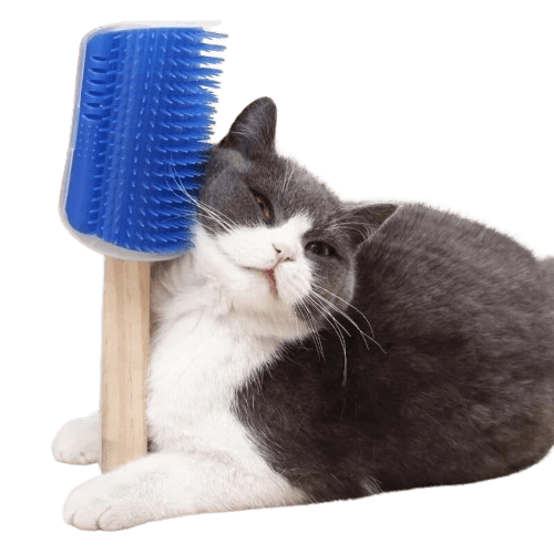 Massageador com Catnip para Gatos