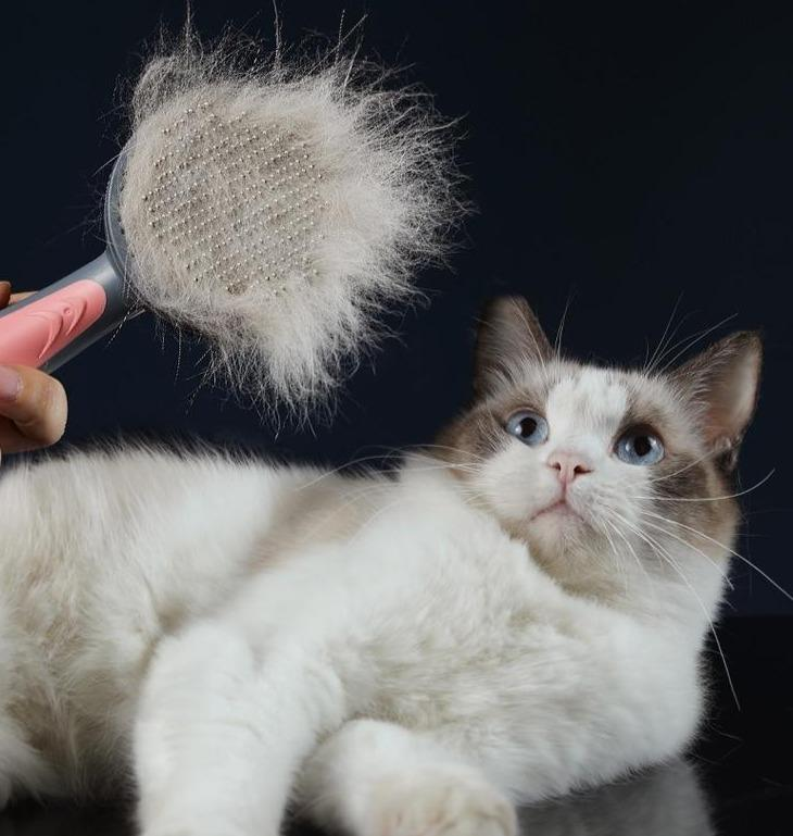 PetFurAway Escova Removedora de Pelos Cães e Gatos